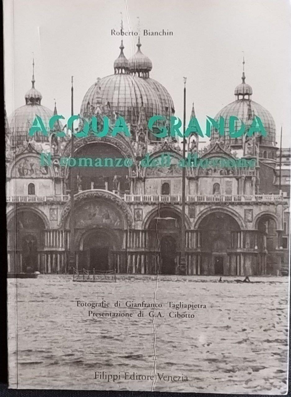 Acqua granda. Il romanzo dell'alluvione