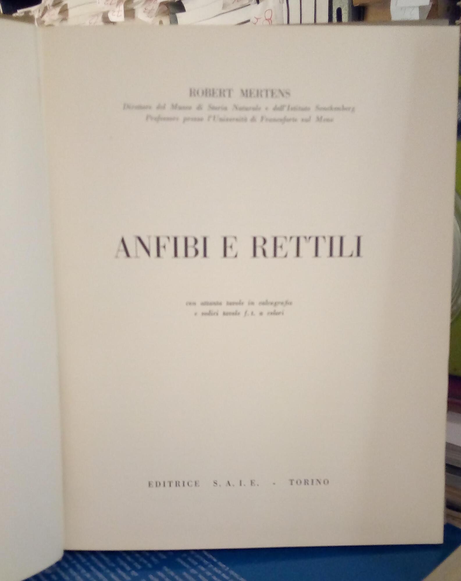 Libreria del Professore