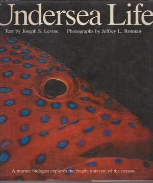 Undersea Life - copertina