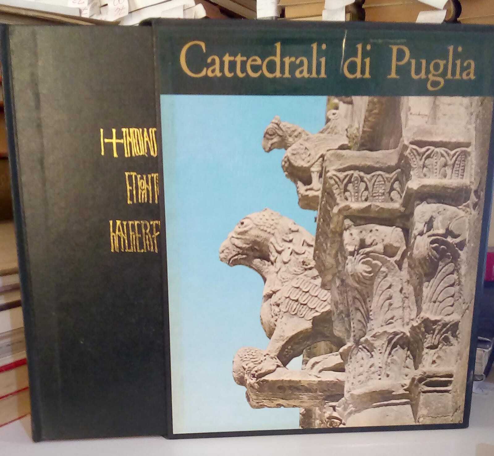 Libreria del Professore