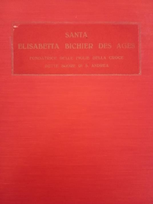 Santa Elisabetta Bichier des Ages fondatrice delle figlie della Croce 1773 - 1838 - P. Rigaud - copertina