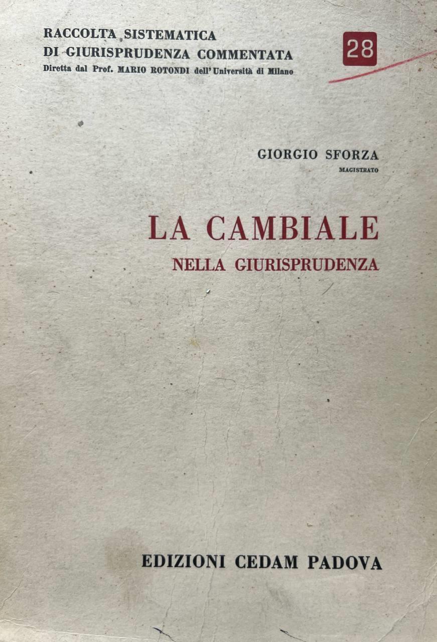 La cambiale nella giurisprudenza