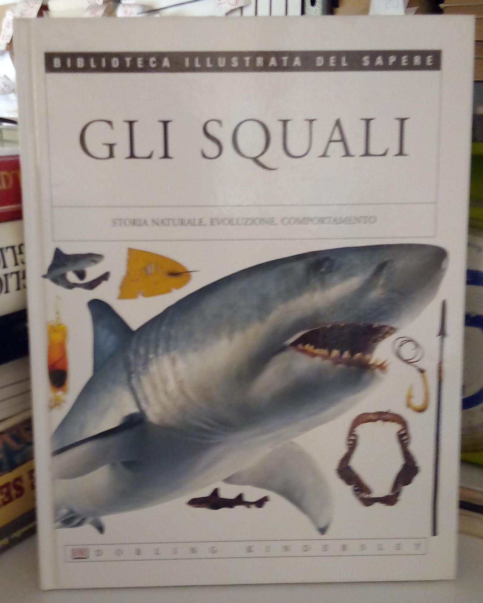 Librisaggi