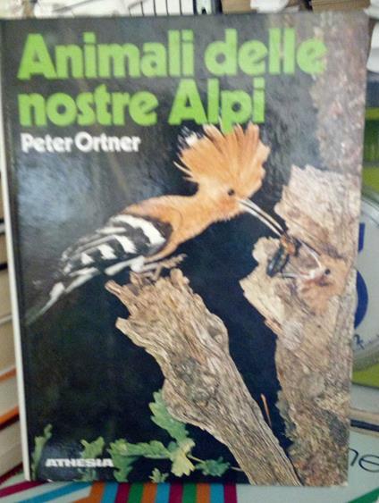 Animali delle nostre Alpi. Con particolare riferimento al Sudtirolo - Peter Ortner - copertina