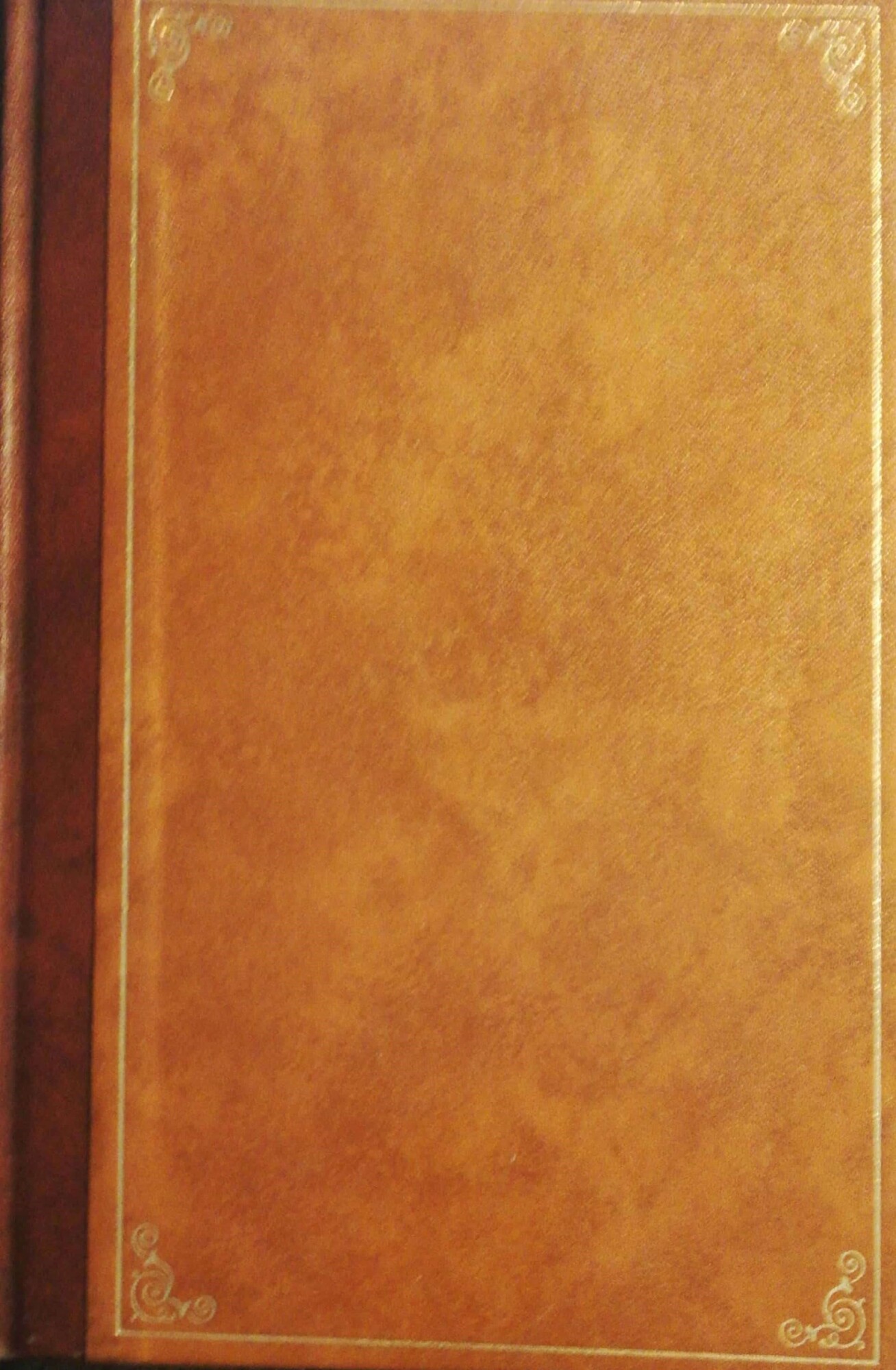 Libreria del Professore