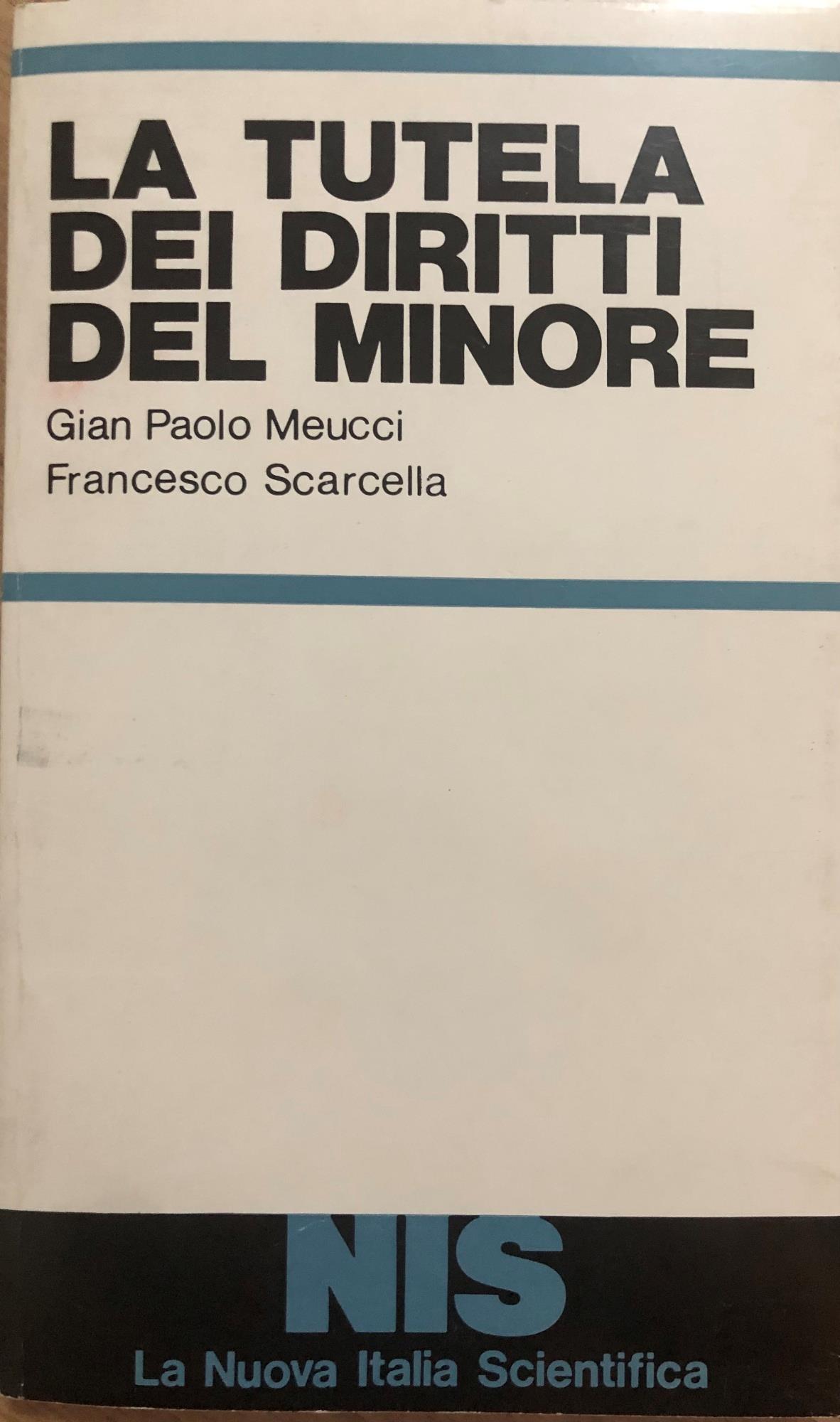 La tutela dei diritti del minore