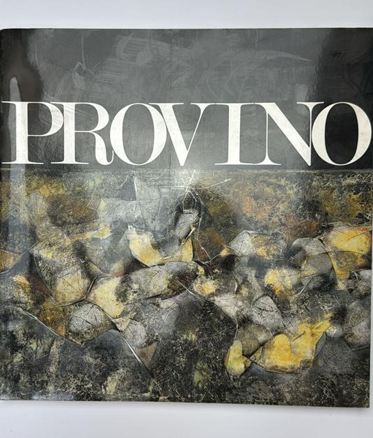 Provino terra. Catalogo della mostra al palazzo delle esposizioni fatta nel 1991 - copertina