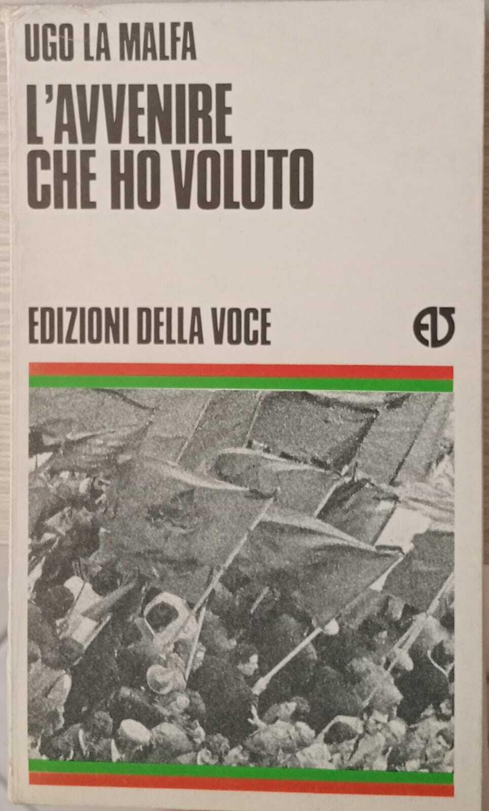 L' avvenire che ho voluto