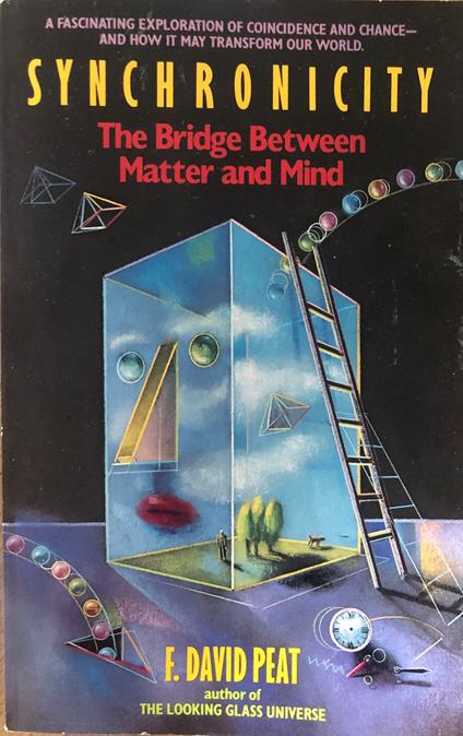 Synchronicity. The Bridge Between Matter and Mind - copertina