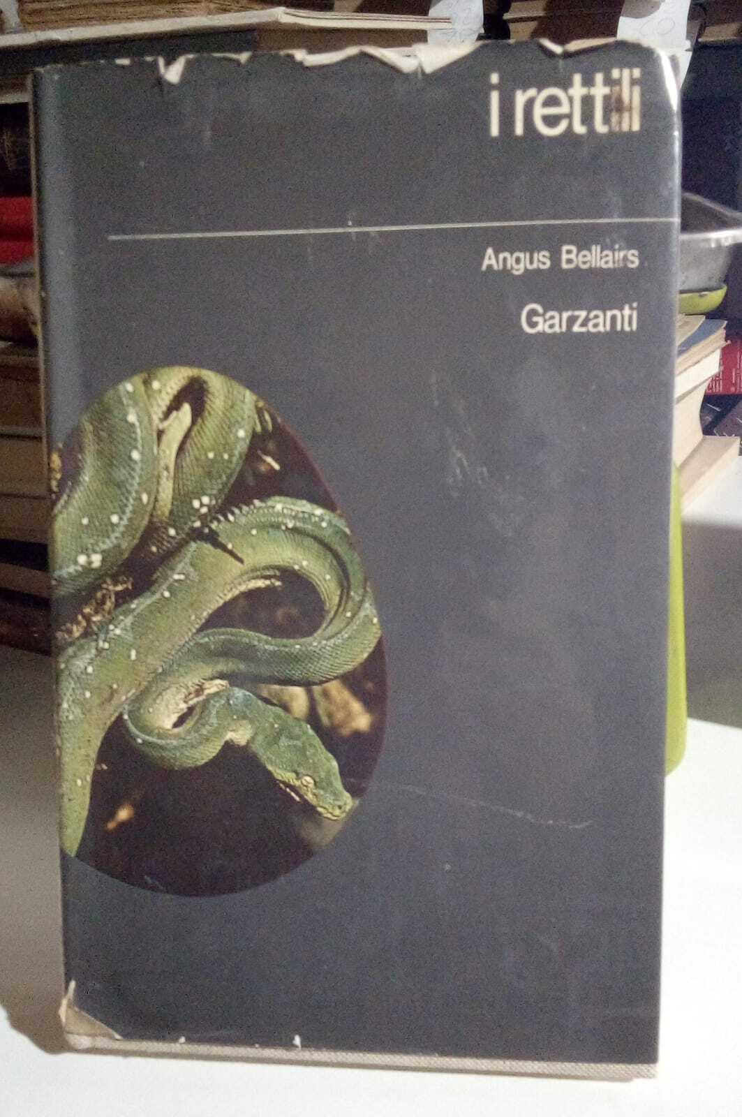 L'Odissea Libri e Arte