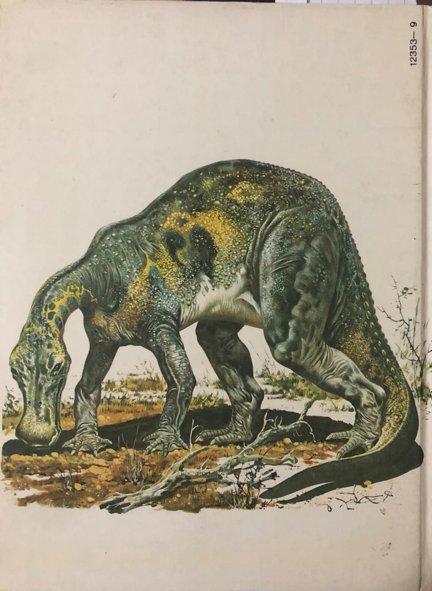 La scoperta dei fossili. Il romanzo della paleontologia