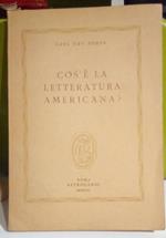 Cos'è la letteratura americana?