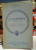 L' odissea, libro VI