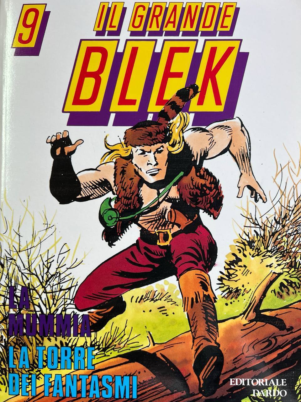 Libreria del Professore