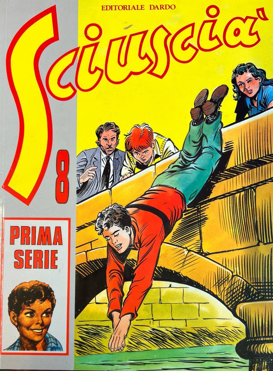 Librisaggi