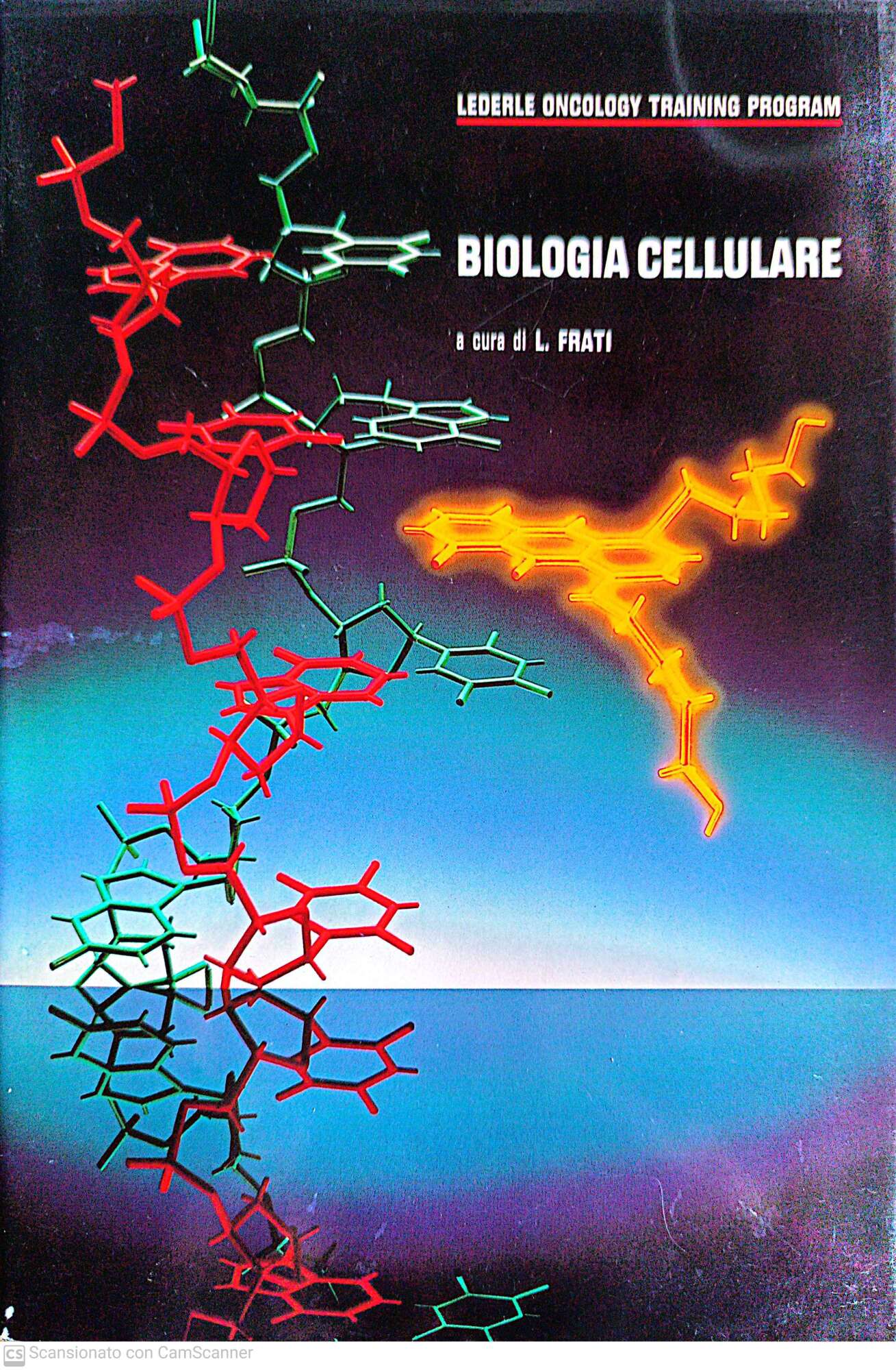 Librisaggi