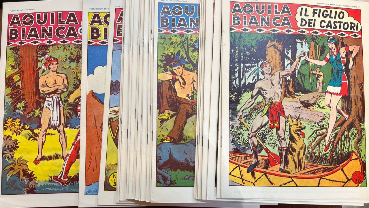 Libreria del Professore