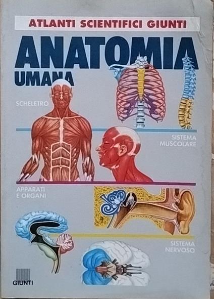 Anatomia umana - copertina