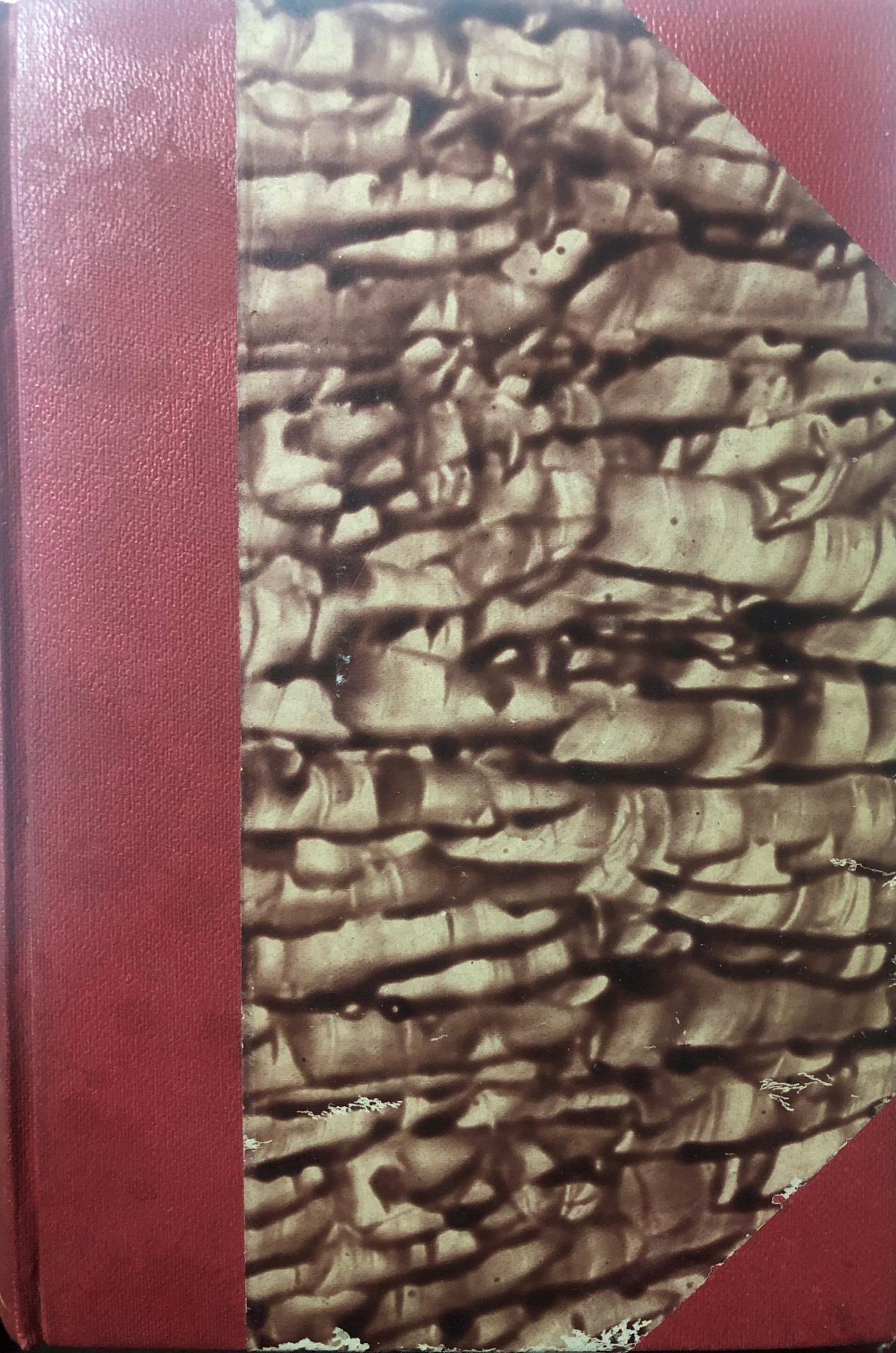 Scrittori italiani e stranieri