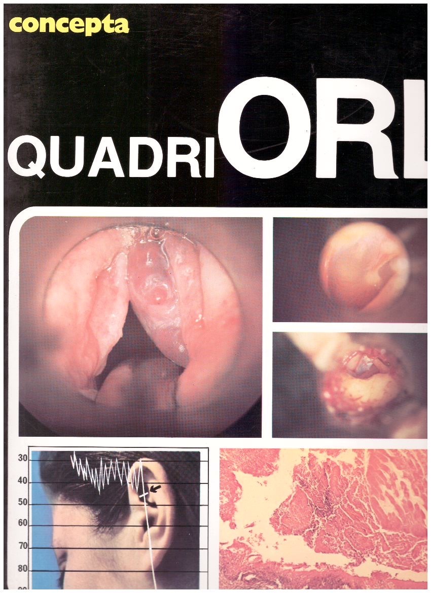 Libreria del Professore