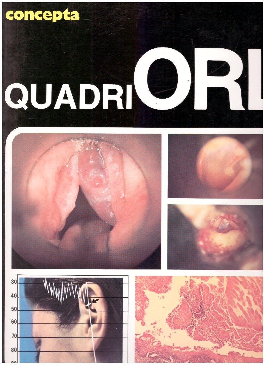 Concepta Quadri Orl