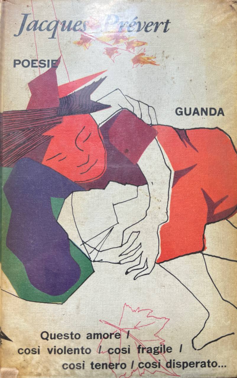 Libreria del Professore