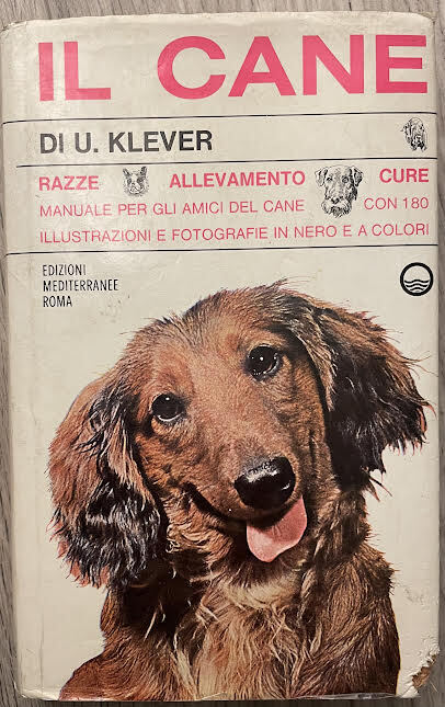 Libreria del Professore