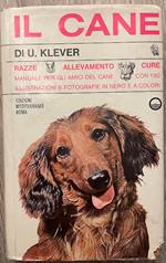 Il cane