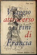 Viaggio attraverso i vini di Francia
