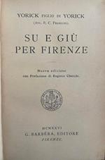Su e giù per Firenze