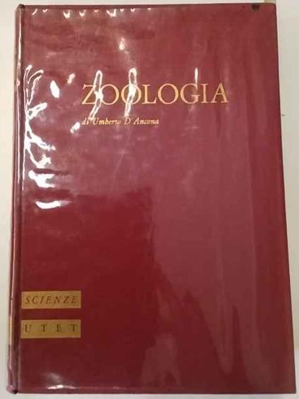 Trattato di zoologia - Umberto D'Ancona - copertina