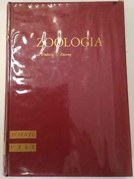 Trattato di zoologia - Umberto D'Ancona - copertina