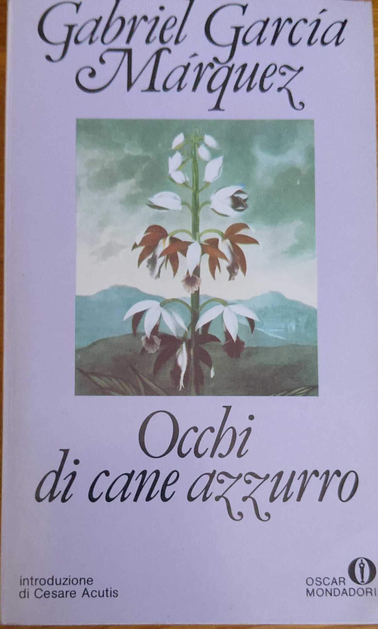 Occhi di cane azzurro
