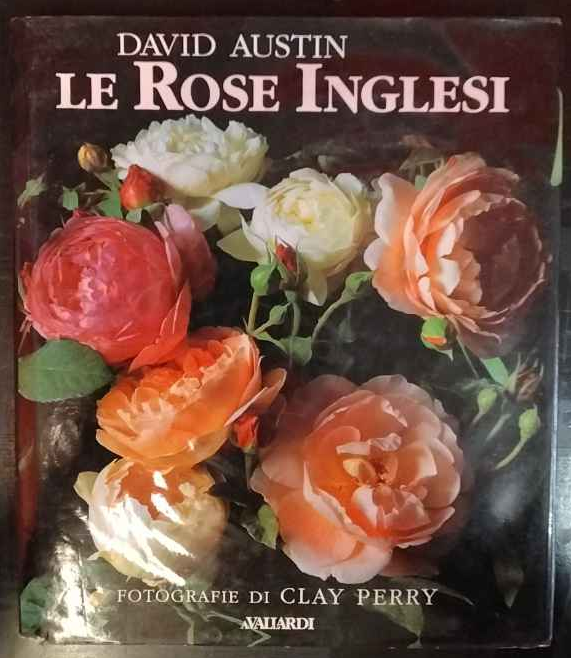 Librisaggi