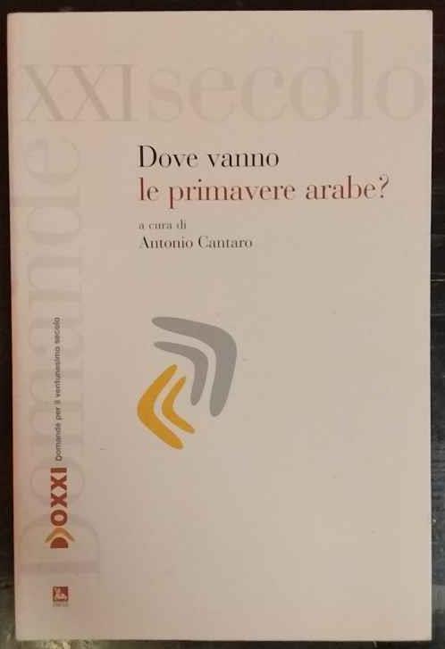 Dove vanno le primavere arabe? - copertina
