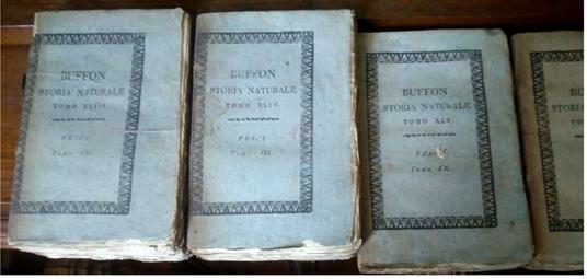 Storia naturale di Buffon classificata giusta il sistema di Linneo da Renato, Riccardo Castel ... proseguita da altri ch. scrittori e ridotta a completa storia di tutti e tre i regni della natura. Prima traduzione italiana - copertina