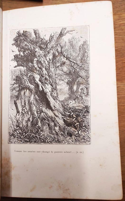 Le monde des insectes, illustré d'un grand nombre de vignettes sur bois gravées par Joliet, É. Thomas, Lacoste ... [et al.]Deuxieme edition revue et corrigee par l'auteur,