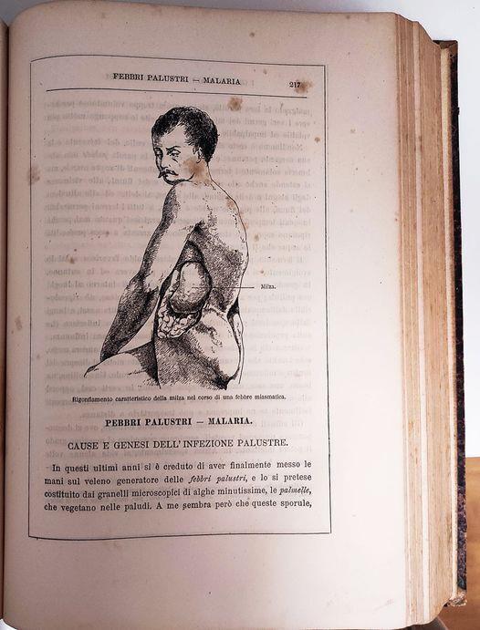 I grandi mali e i grandi rimedi : trattato completo delle malattie che affliggono il genere umano con l'esposizione circostanziata delle loro cause, dei loro sintomi, delle perturbazioni e lesioni che producono nell'organismo e dei mezzi i più razion