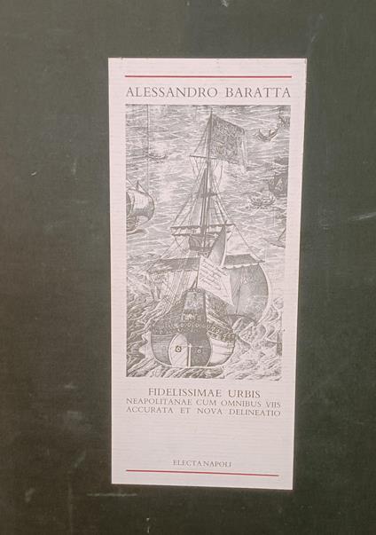 Fidelissimae urbis. Neapolitanae cum omnibus voos accurata et nova delineatio. Riproduzione in facsimile della veduta della città dell'edizione del 1629. Riproduzioni in scala 1:1 - copertina