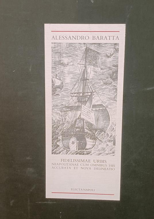 Fidelissimae urbis. Neapolitanae cum omnibus voos accurata et nova delineatio. Riproduzione in facsimile della veduta della città dell'edizione del 1629. Riproduzioni in scala 1:1 - copertina