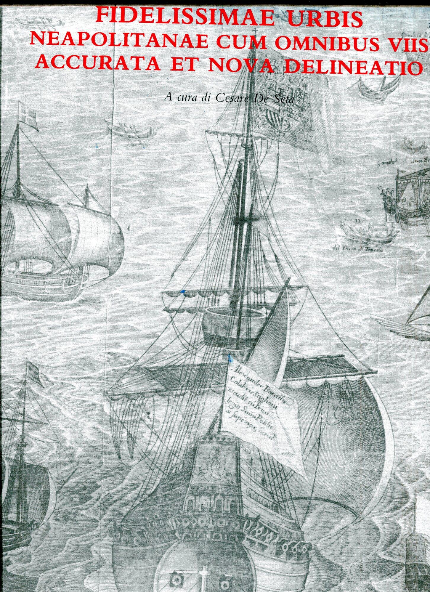 Fidelissimae urbis. Neapolitanae cum omnibus voos accurata et nova delineatio. Riproduzione in facsimile della veduta della città dell'edizione del 1629. Riproduzioni in scala 1:1