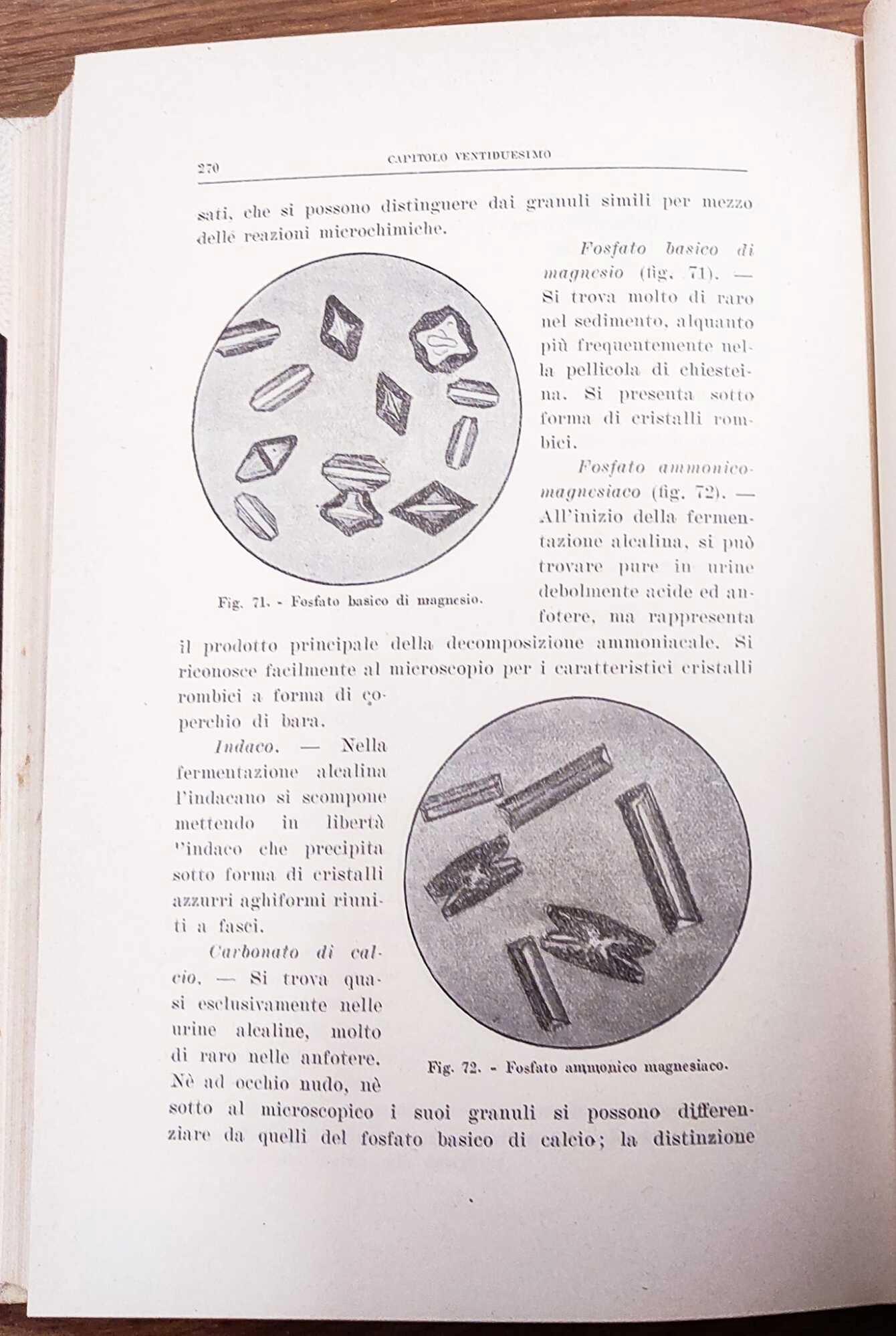 Guida pratica all'analisi chimica applicata alla fisiologia normale e patologica. Legata insiema a: Belli, Carlo Maurizio, Guida alle analisi cliniche di chimica, microscopia, batteriologia e sierologia, Milano : Soc. An. Istituto editoriale scientif