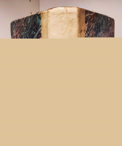 C. Iulii Caesaris commentarii de bello gallico et civili ad usum regiarum scholarum - copertina