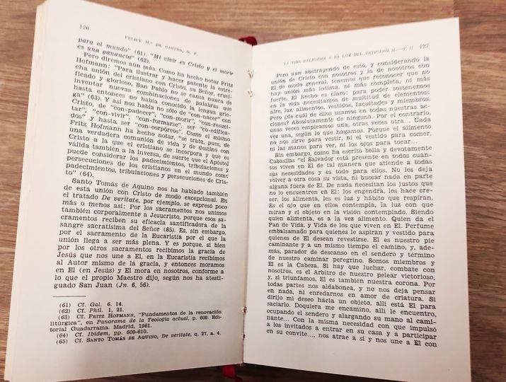 La vida religiosa a la luz del Vaticano II