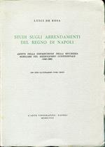 Studi sugli arrendamenti del Regno di Napoli : aspetti della distribuzione della ricchezza mobiliare nel Mezzogiorno continentale, 1649-1806