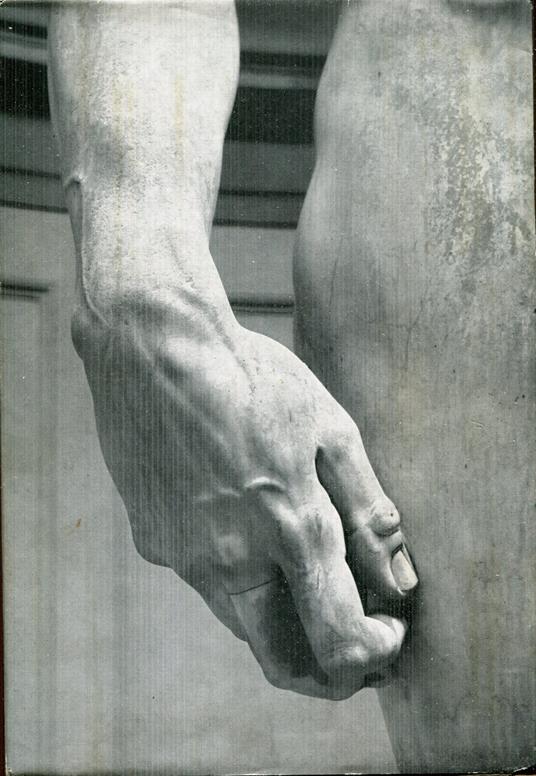 Michelangelo - Valerio Mariani - copertina