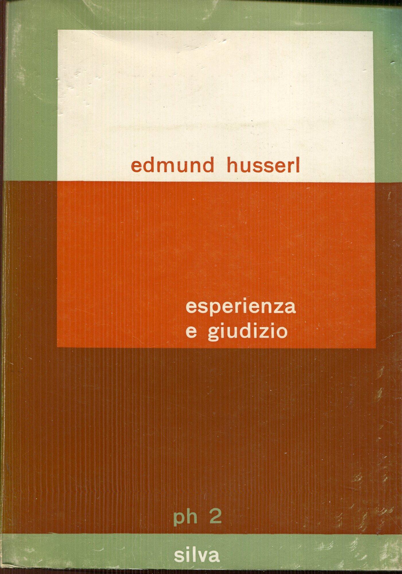 Esperienza e giudizio : ricerche sulla genealogia della logica. Pubblicate e redatte da Ludwig Landgrebe