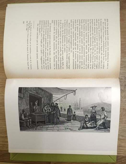 Studio Bibliografico Viborada