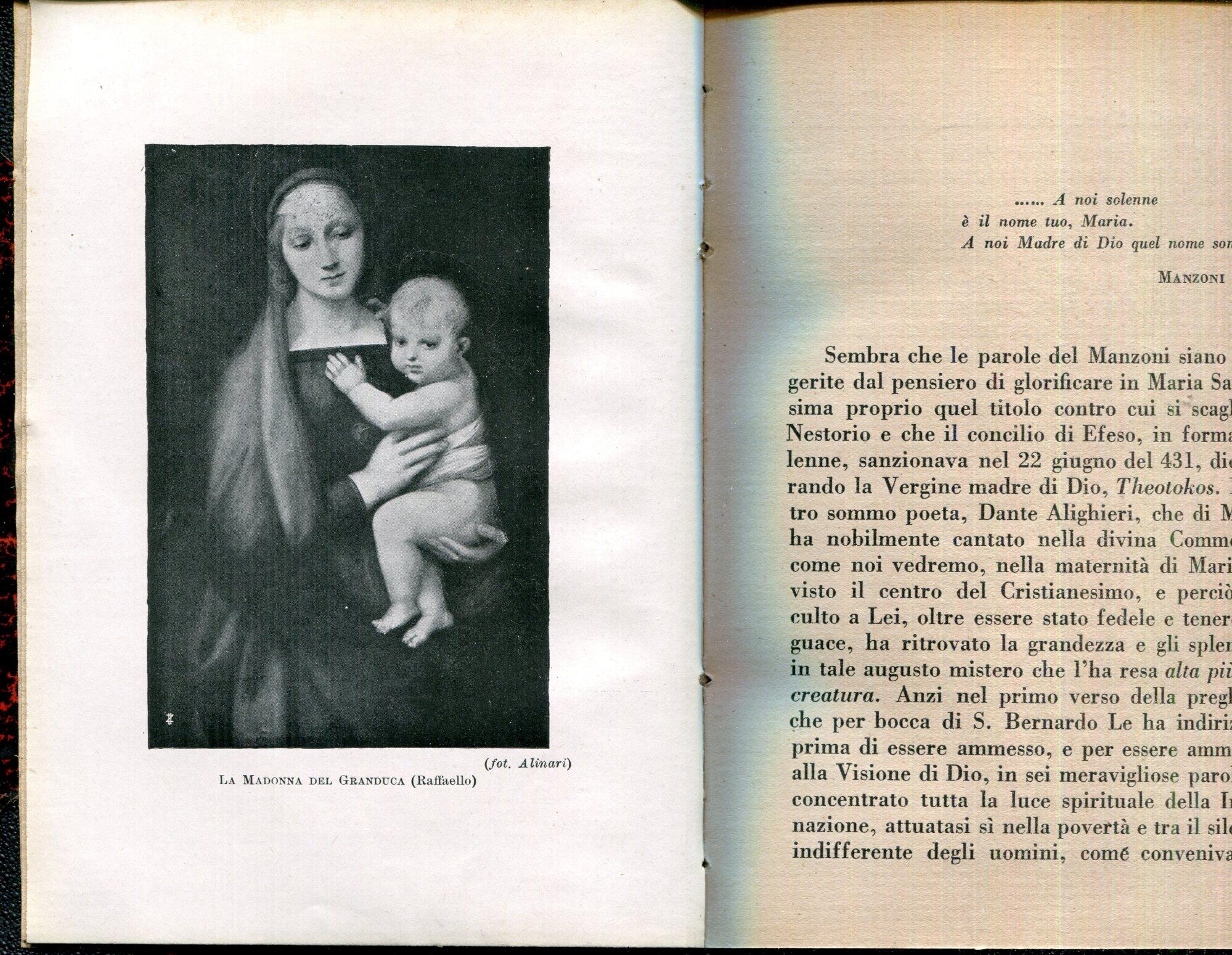 Studio Bibliografico Viborada