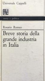 Breve storia della grande industria in Italia